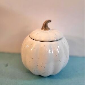 Cute Small White Pumpkin Ceramic Jar with Silver Stem